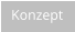 Konzept